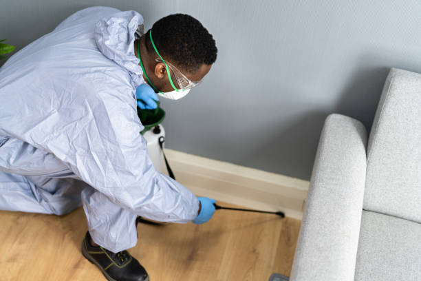 Best Pest Prevention Services  in English Creek, NJ